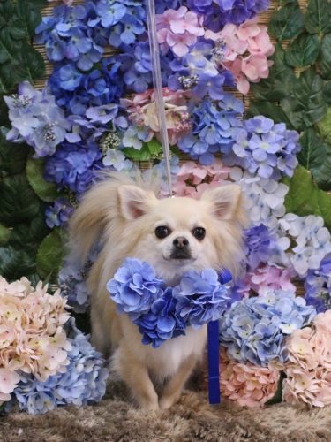 20250601とわくん